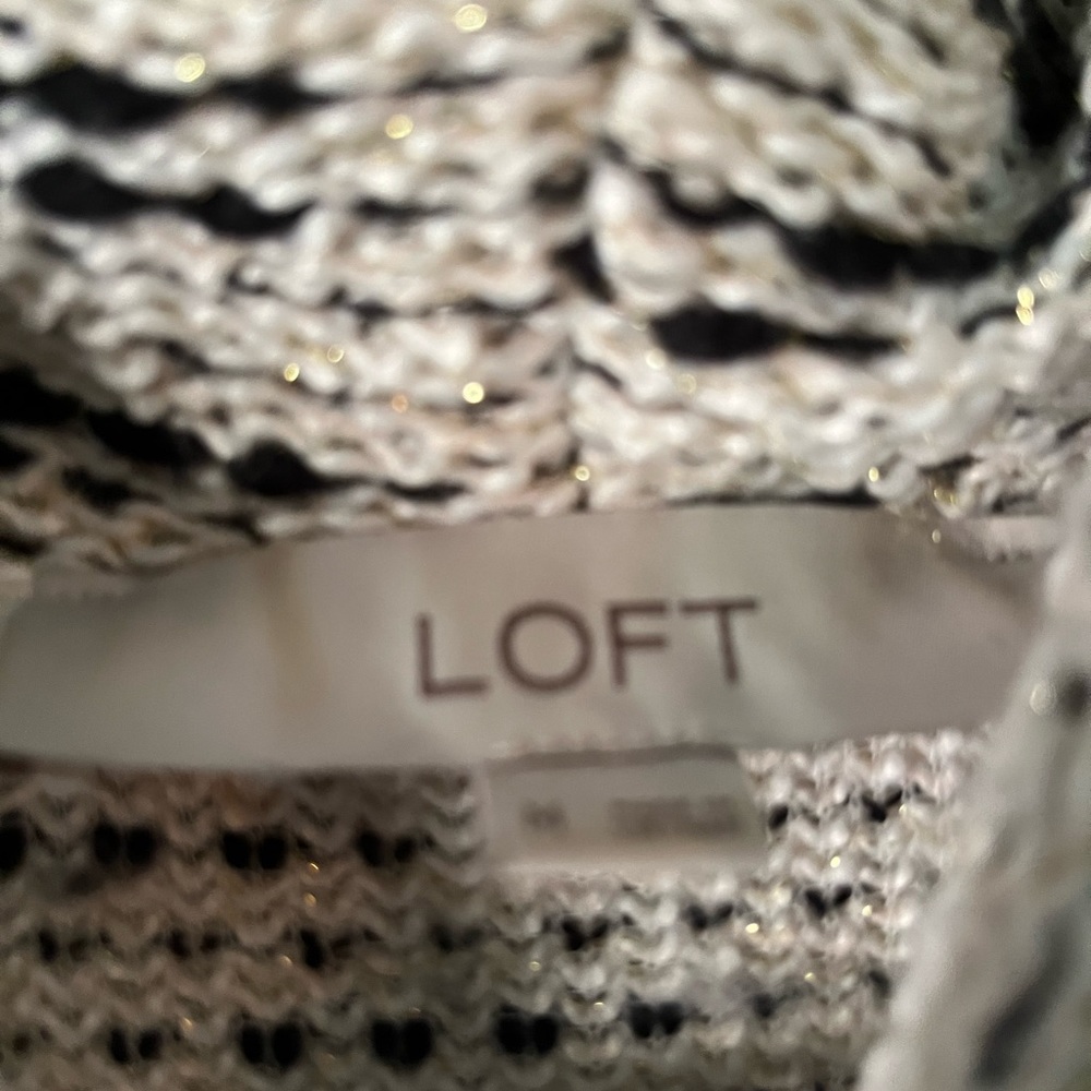 Women’s LOFT sweater